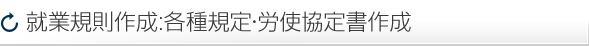 就業規則作成:各種規定・労使協定書作成